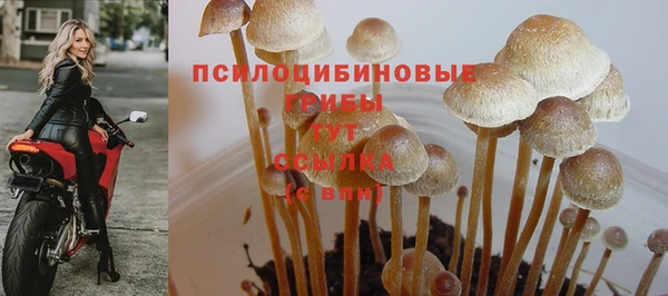 эйфоретик Армянск
