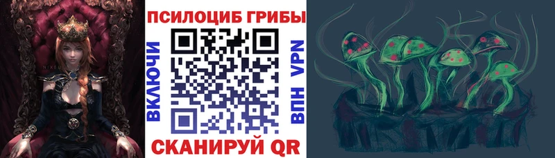 Галлюциногенные грибы Psilocybine cubensis  Моздок 