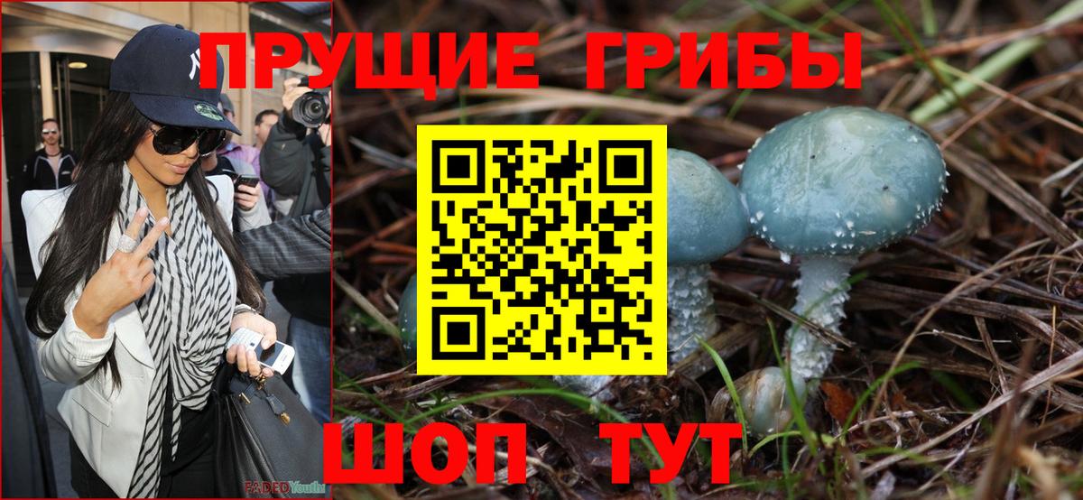 Моздок  Галлюциногенные грибы Cubensis  Вход с VPN  Псилоцибиновые грибы GOLDEN TEACHER 