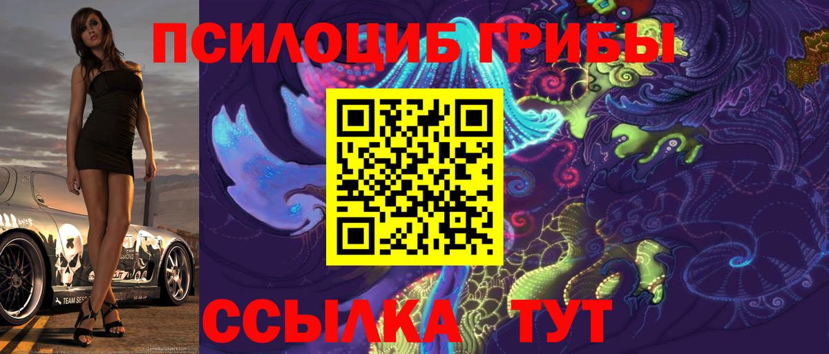 Псилоцибиновые грибы Psilocybine cubensis Моздок